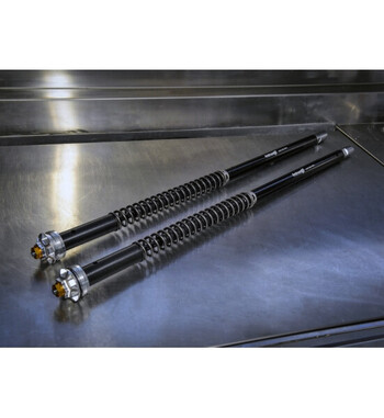 Cartucho Misano EVO para BMW F850 GS